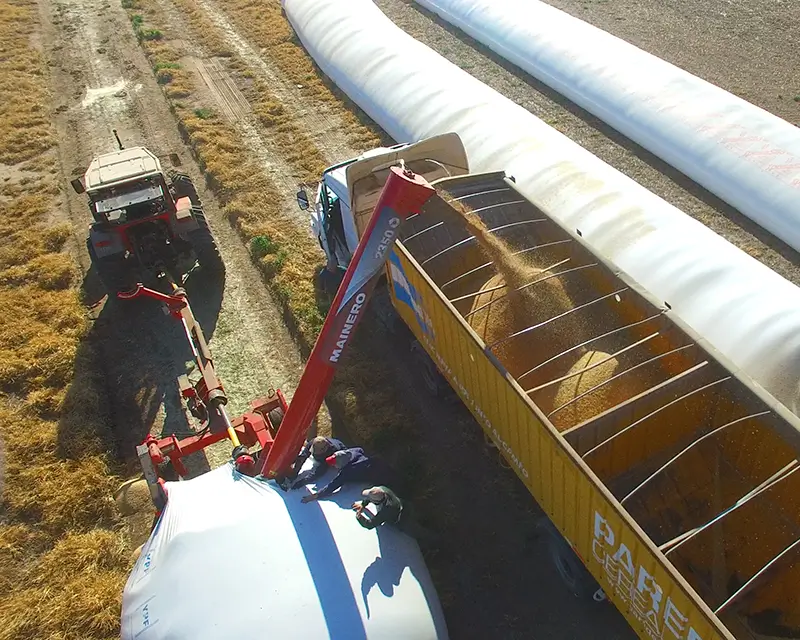 Extractor de Granos Secos 2350 Mainero - Imagen 3